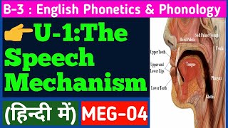 The Speech Mechanism  organs of speech  Phonetics amp Phonology MEG04  Aspects of Language [upl. by Anniken]