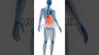 How Digestive System Works   3D Animation of Digestive System viralshorts [upl. by Ysteb]