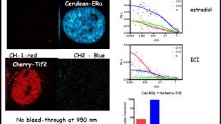 NMR spectroscopy part 1 [upl. by Aubreir]