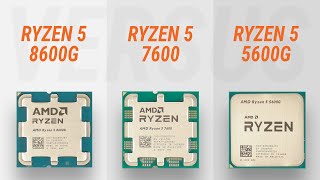 Ryzen 5 8600G vs Ryzen 5 7600 vs Ryzen 5 5600G w RTX 4090 Test in 7 games  Test Radeon 760M [upl. by Leunas]