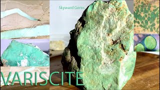 VARISCITE  OLD STOCK EXTINCT GEMSTONE Lucin Utah Rarest Types Rockhounding Crystals Lapidary [upl. by Ioyal]