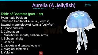 Habit habitat and external morphology structure amp systemic position of Aurelia [upl. by Nylehtak]