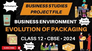 Business Studies Project Work  BUSINESS ENVIRONMENT  CBSE  202425  CLASS 12 [upl. by Blus]