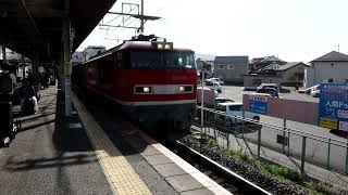 EF5101富山牽引の貨物列車 瀬田駅通過 2024年4月19日撮影 [upl. by Yatzeck]