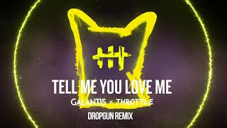 Galantis amp Throttle  Tell Me You Love Me DropGun Remix [upl. by Anidene167]