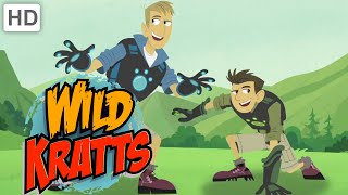 Wild Kratts  Theme Song [upl. by Tnecnivleahcim]