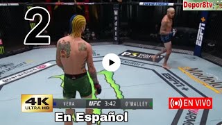 Chito Vera vs Sean OMalley en vivo en Español por el peso gallo UFC 299 [upl. by Dnomyad]