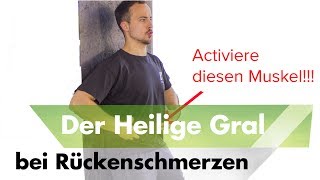 Bauchmuskeltraining  Der Heilige Gral  Hohlkreuz beseitigen Rückenschmerzen wegtrainieren [upl. by Eilliw]