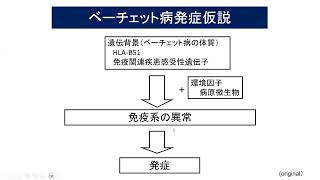 医療講演会「ベーチェット病診療の現状と展望」202405121 ベーチェット病 [upl. by Nottarts]