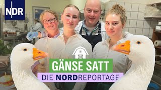 Weihnachten ist Gänsezeit  Landgasthof zwischen Tradition und neuen Ideen  Die Nordreportage  NDR [upl. by Sansen906]