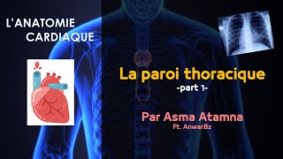 AnatomieCardiaque  La paroi thoracique 1 par Asma Atamna [upl. by Anavlys81]