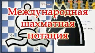 Что такое Международная Шахматная Нотация  урок для начинающих [upl. by Joashus801]