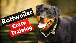 How to Crate Train Your Rottweiler puppy [upl. by Enomor]