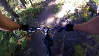 Downhill on the Norco [upl. by Bernie405]