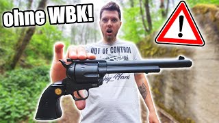 Diesen RIESIGEN 6mm FLOBERT REVOLVER musste ich bei der POLIZEI REGISTRIEREN [upl. by Ahcirt]