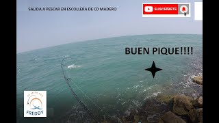 Pesca Tampico Madero Altamira Escollera [upl. by Strepphon]