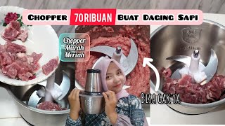 REVIEW CHOPPER STAINLESS STEEL VIRAL HARGA 70000 AN UNTUK DAGING SAPI [upl. by Divod362]