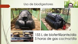 Biodigestor Homebiogas [upl. by Danete]