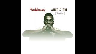 Haddaway  What is love Remix 2023 [upl. by Mollee]