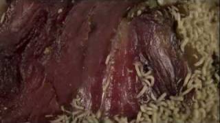 time lapse maggots eating meat HD [upl. by Drofla]