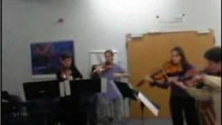 Stamitz viola concerto for 4 violas  Stamitz circus [upl. by Alik]