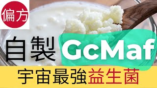 自製超級乳酪GcMaf [upl. by Airda765]