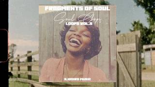 FREE LOOP PACK quotFragments of Soul Vol5quot  Soul Chops [upl. by Aiekat]