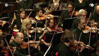 Wagner Der Ring des Nibelungen arr De Vlieger  Radio Filharmonisch Orkest  Live concert HD [upl. by Gordon]