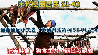 末代極圈居民：最後極圈小夫妻：泰勒與艾胥莉·賽爾登 S10124：肥美鮭魚，狗食主力，熊出沒覬覦 荒野 阿拉斯加 生存 狗 打魚 [upl. by Orling]