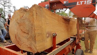 Massive Pine Log With An Unbelievable Heart [upl. by Handler518]