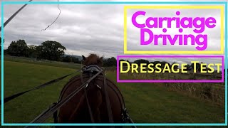 Carriage Driving  Dressage  GoPro Hero 4 Helmet Cam [upl. by Nickerson]