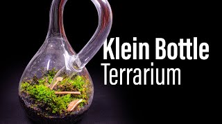 I Made the First Klein Bottle Terrarium Very Difficult [upl. by Bonnes]