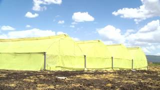 ELGON KENYA GREENHOUSE TVC [upl. by Carolynne]