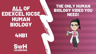 ALL of Edexcel IGCSE Human Biology 4HB1  SwH Learning [upl. by Tati786]