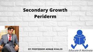 Periderm  Secondary growth ProfAdnan Khalid [upl. by Kind]