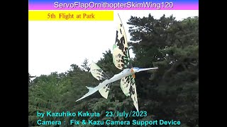 サーボ駆動スキムウイング羽ばたき機 ServoFlapOrnithopterSkimWing120 AVATAR2 31g 5th Flight at Park [upl. by Ymled]