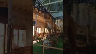 Chennai Egmore Museum Dinosaur chennai museum [upl. by Nawad]