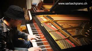 Steinway 170 sarbachpiano Grainger [upl. by Adnov]