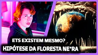 A Hipótese da Floresta Negra  Ciência Todo Dia  REACT DO MORENO [upl. by Red]