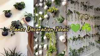 plant decor in living roomplants decoration ideasplants decoration ideas at homeplants decoration [upl. by Isiahi219]