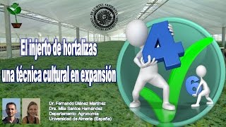 Injerto de hortalizas vídeo 4 de 6 HORTICULTURA UNIVERSIDAD DE ALMERÍA [upl. by Kerek574]