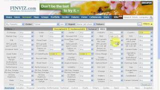 Finviz Stock Screener [upl. by Yeclehc751]