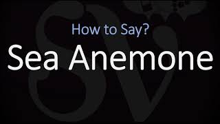 How to Pronounce Sea Anemone CORRECTLY [upl. by Dearr]