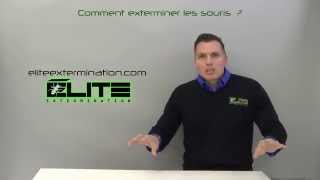 COMMENT EXTERMINER LES SOURIS   Élite Gestion Parasitaire [upl. by Willy882]