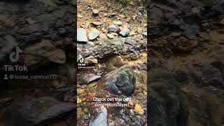 What causes this concretion layer prospecting nature geology creek uwharrie [upl. by Tabber]