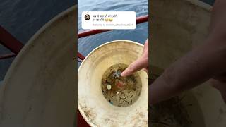 Ship pr aayi machali k bache🐟🦀🐍 explore ship reels shortvideo [upl. by Enyrehtak]