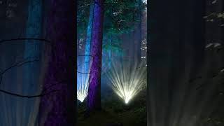 The Enchanted Forest 2023 sound amp light show From the Deep near Pitlochry in Scotland shorts [upl. by Banerjee]