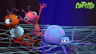 Antiks  Baby Spider  Funny Cartoons For Kids  Oddbods amp Friends [upl. by Chrisman]