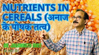 What are the nutrients in cereals अनाज मै कोनसे पोषक तत्व होते है [upl. by Willow430]