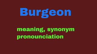 Burgeon Meanning in English pronounciation synonym amp usage [upl. by Samara]